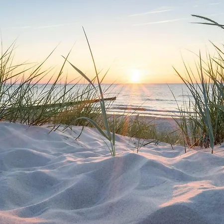 Apartment White Pearl 2.16 *