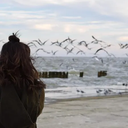 White Pearl 2.16 Apartment