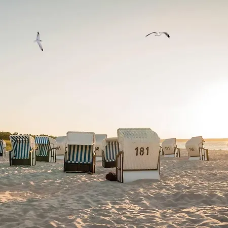 Apartment White Pearl 2.16 *