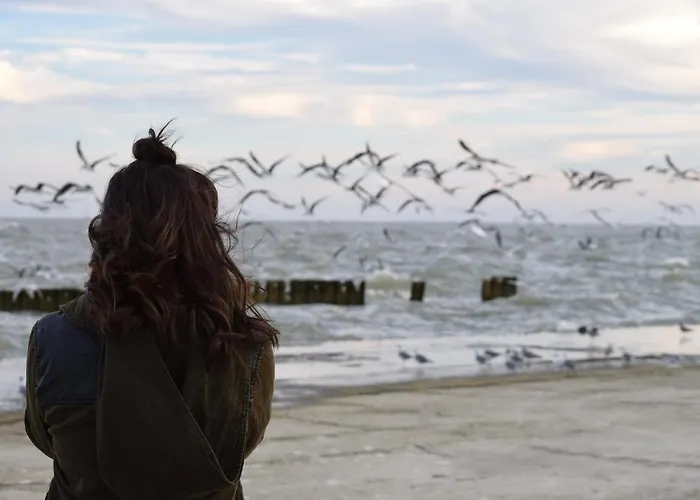 White Pearl 2.16 Lejlighed